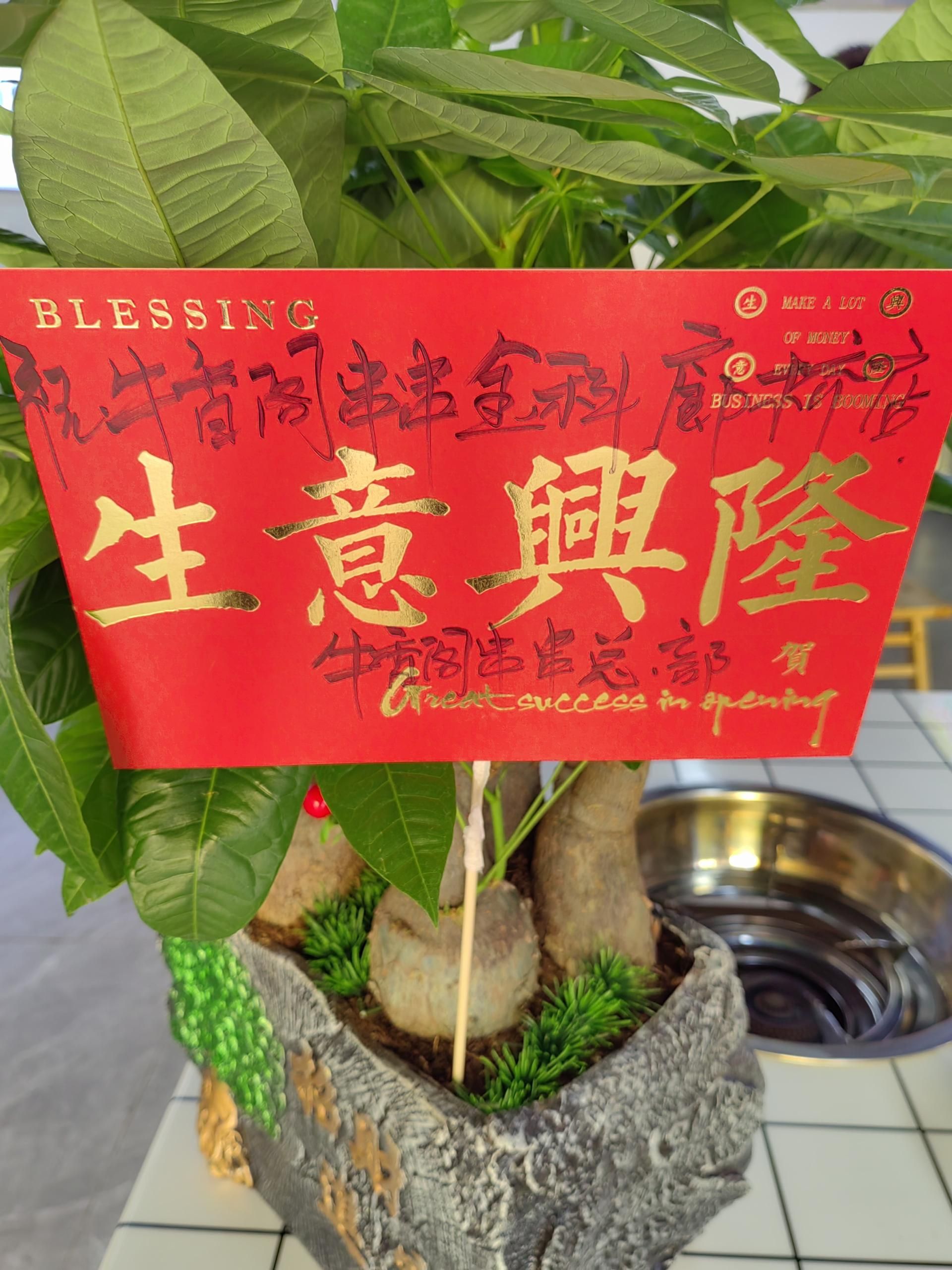 6be2728b00e8e072cbd0a9c1fc6df77.jpg